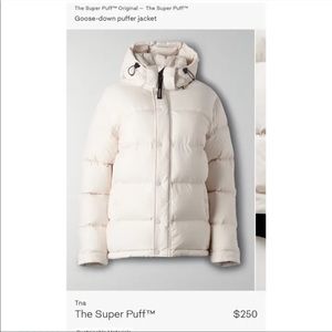 Aritzia Super Puff in Matte Pearl XXXS